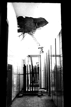 Neubau des Mathematikgebudes der TU - Foto 2
